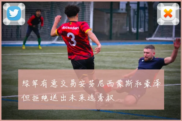 绿军有意交易安芬尼西蒙斯和豪泽但拒绝送出未来选秀权