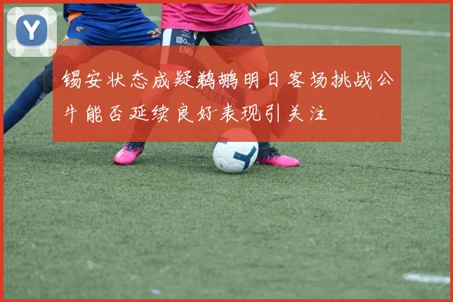 锡安状态成疑鹈鹕明日客场挑战公牛能否延续良好表现引关注