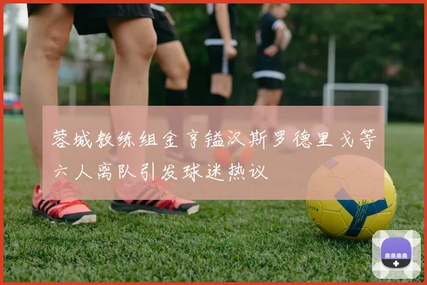 蓉城教练组金亨镒汉斯罗德里戈等六人离队引发球迷热议
