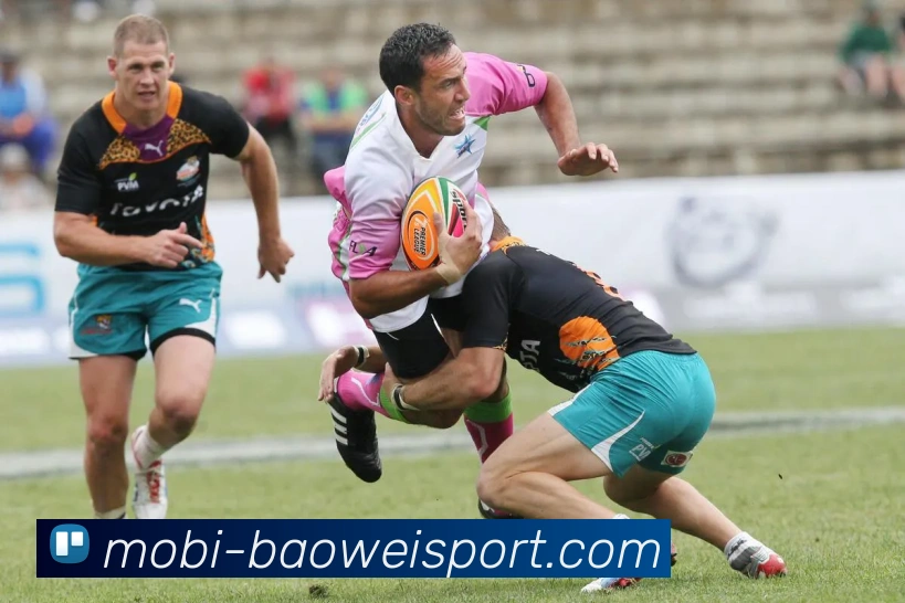 宝威体育平台生态图