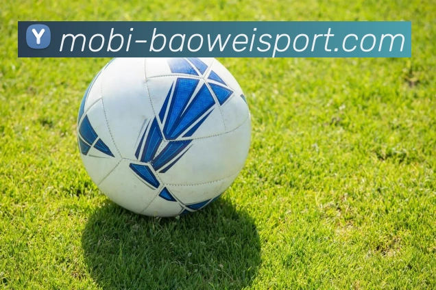 宝威体育APP 封面图